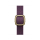 Pasek i akcesoria do zegarków Apple 42mm Mulberry Modern Buckle - Medium